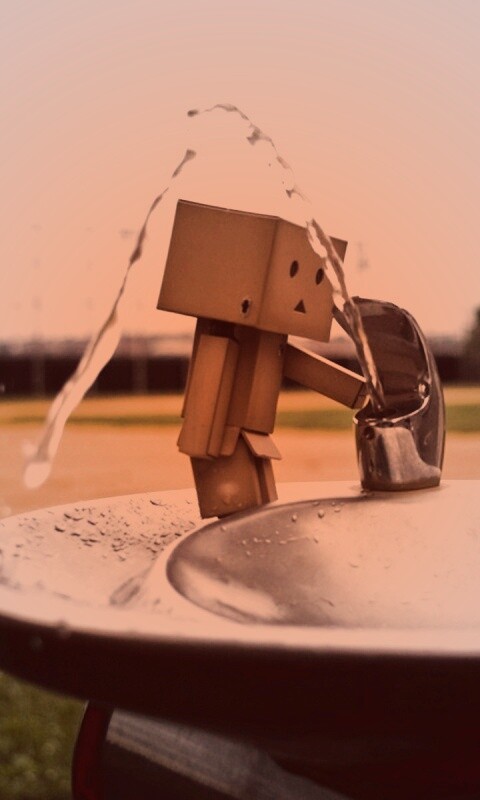 Дандо пьет в воду из фонтанчика обои