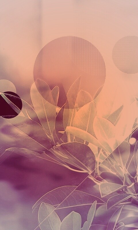 Синий фильтр с кргуами на фото листьев обои