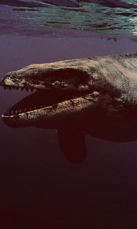 Морской динозавр обои