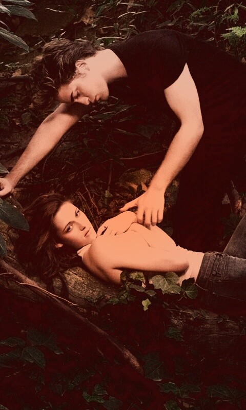 Эдвард и Белла в лесу обои