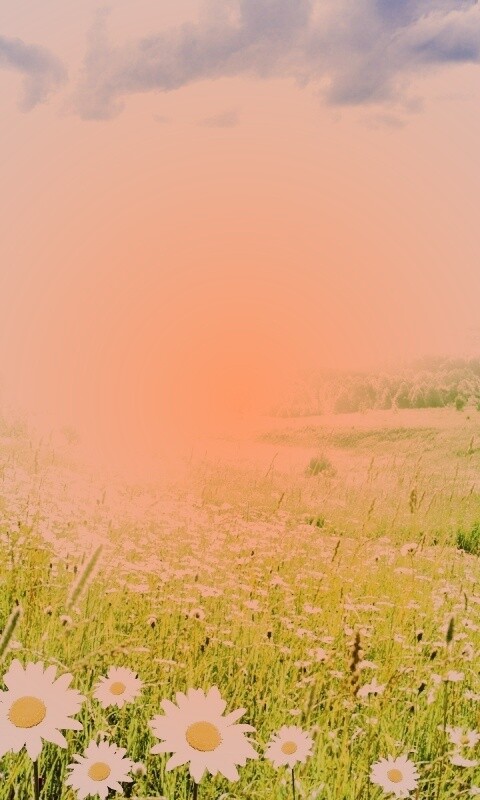 Летний восход обои