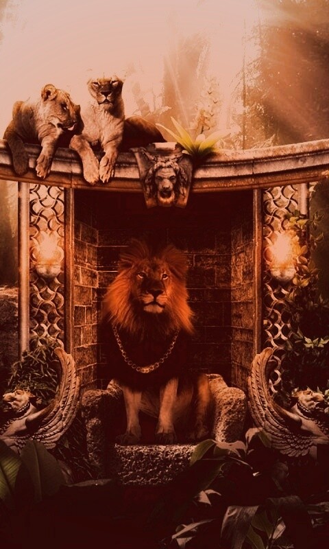 Царь зверей обои