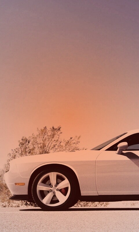 Стартующий Форд Мустанг обои