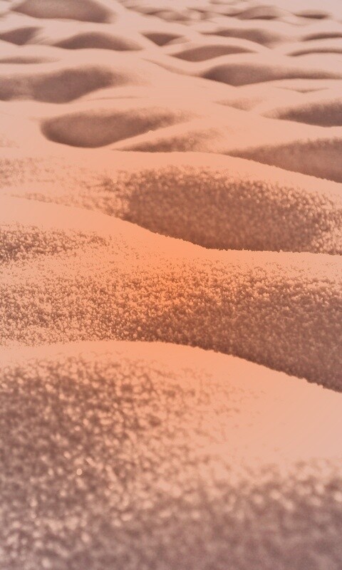 Песчаные бугры обои