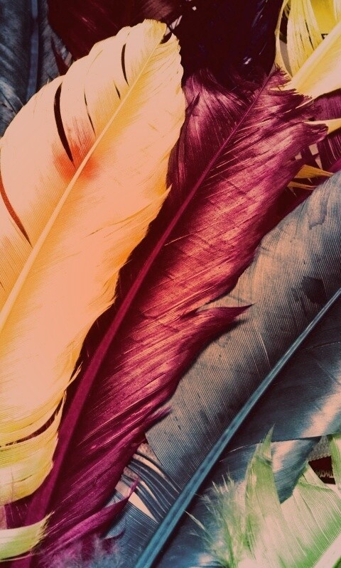 Разноцветные перья обои