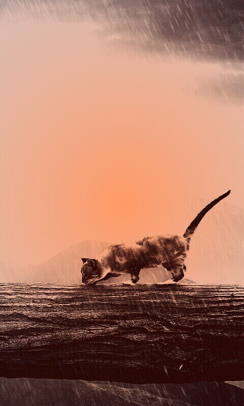 Девушка и кошка обои