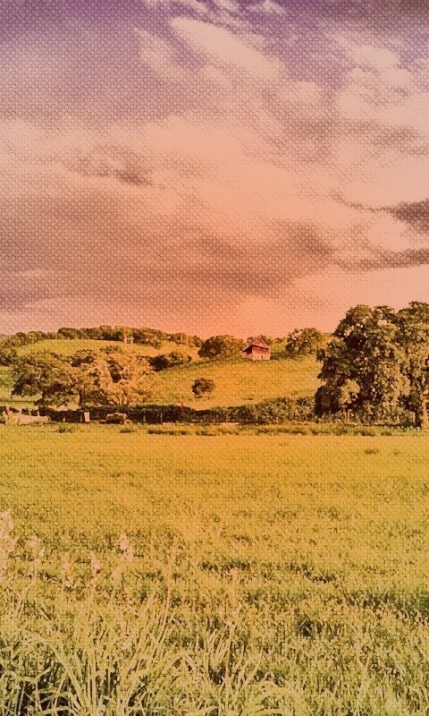 Домик на холмах обои