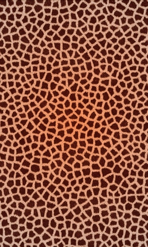 Текстура шкуры жирафа обои