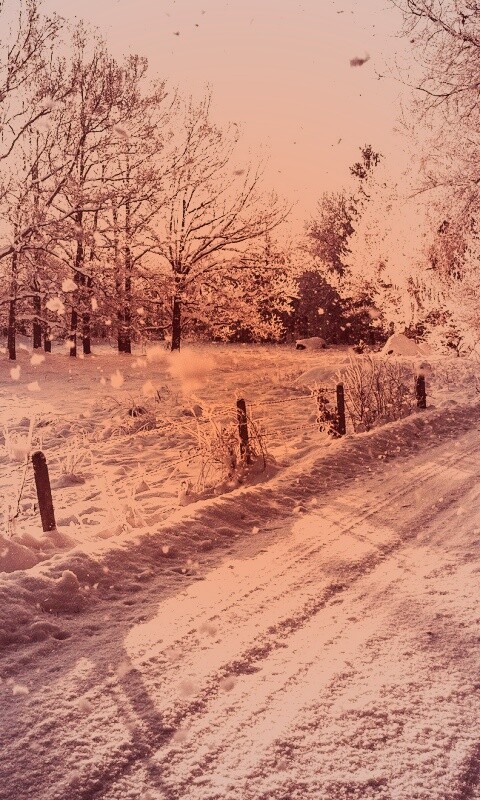 Снежная дорога залитая солнцем обои