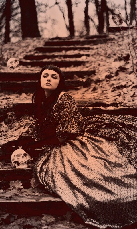 Среди черепов обои