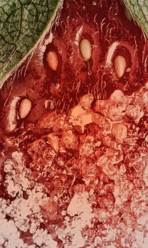 Клубника в сахаре обои