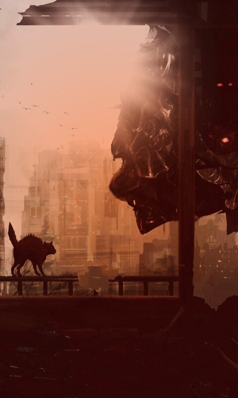 Кошкино удивление обои