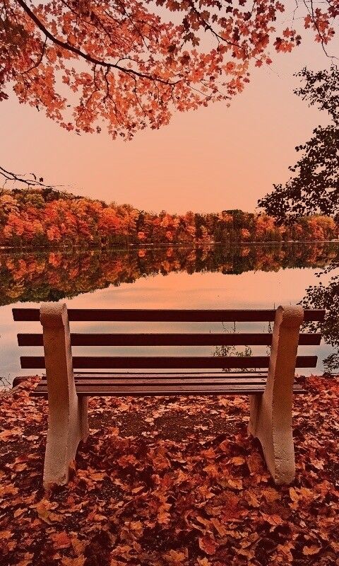 Вид на осеннее озеро обои