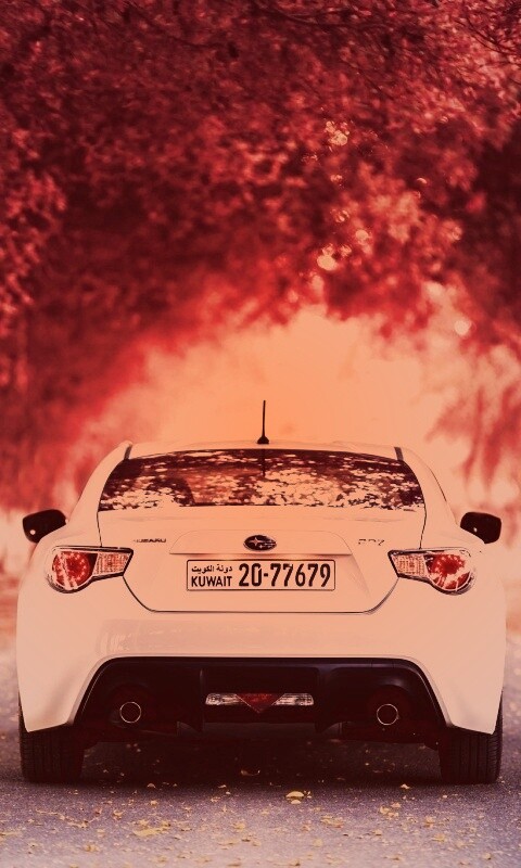 Субару на осенней дороге обои