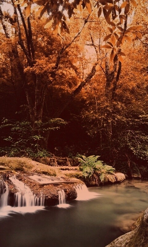 Водопадик в осеннем лесу обои
