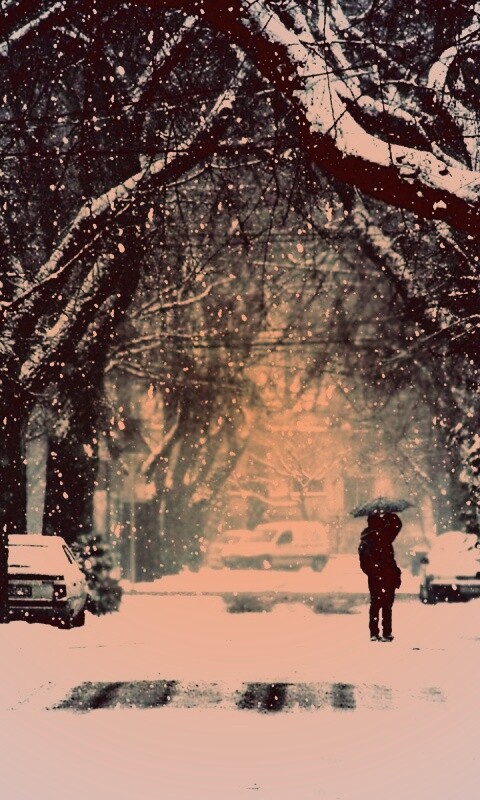 Зимняя улица обои