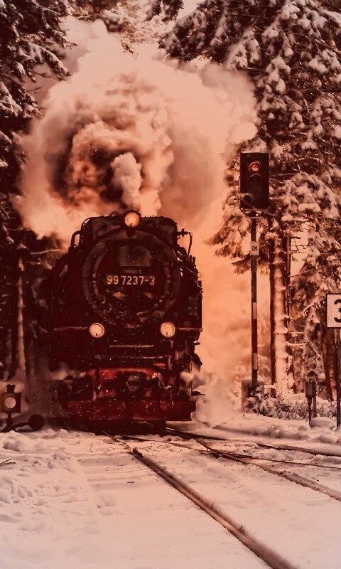 Паровоз в димнем лесу обои