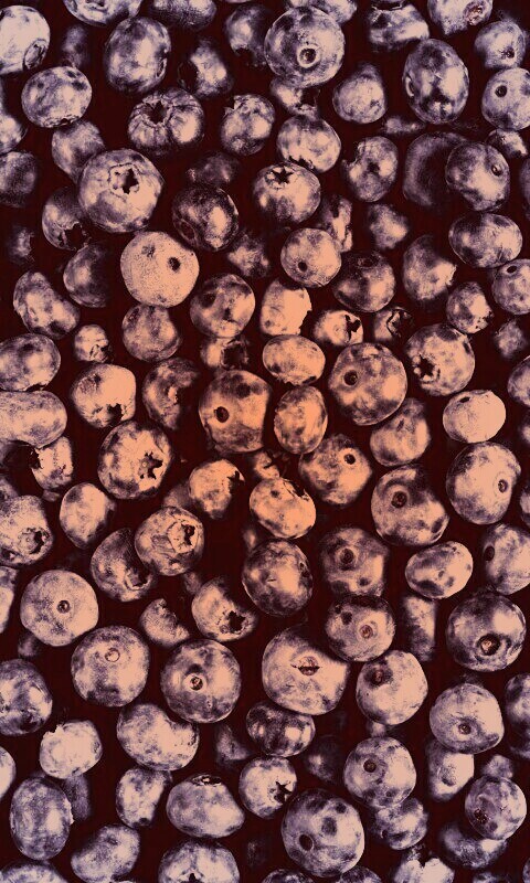 Черника обои