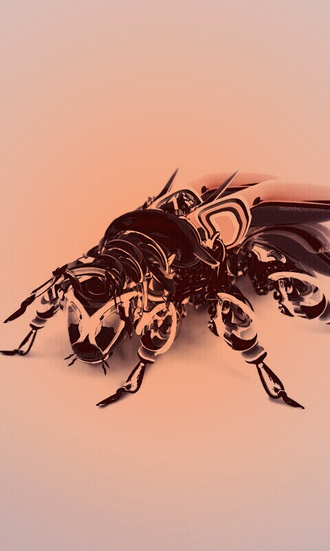 Кибер муха обои