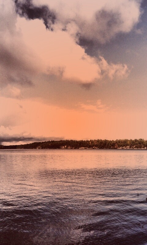 Штиль над озером обои