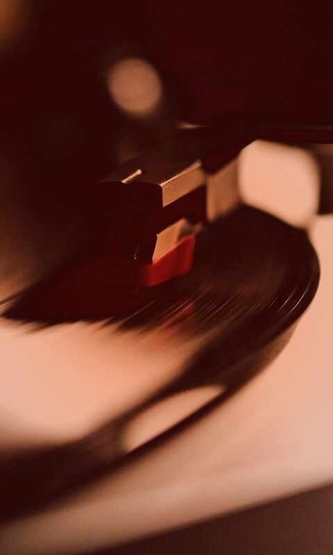 Пластинка обои