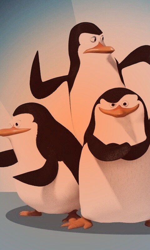Мадагаскарские пингвины обои