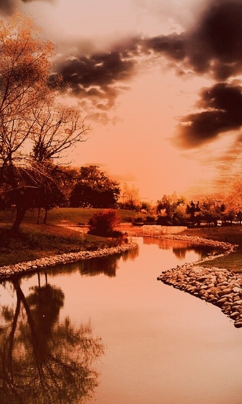 Осенний день в парке обои