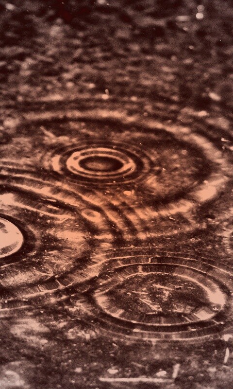 Круги на воде обои