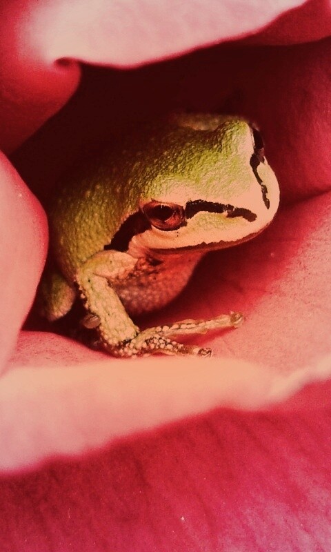 Куда это ты смотришь? обои