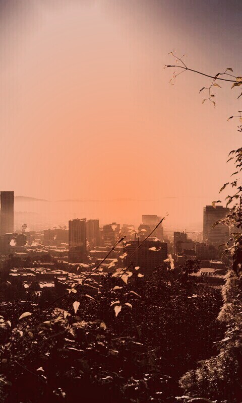 Утро в раю обои