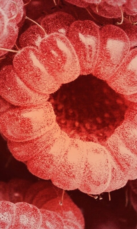 Малина обои