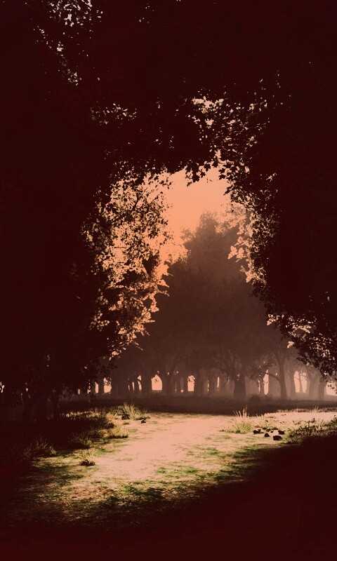 Сумерки в волшебном лесу обои