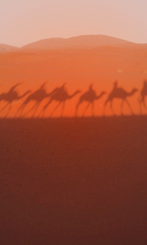 Караван обои