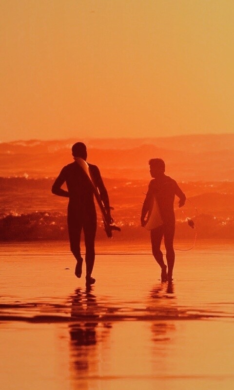 Серфингисты обои