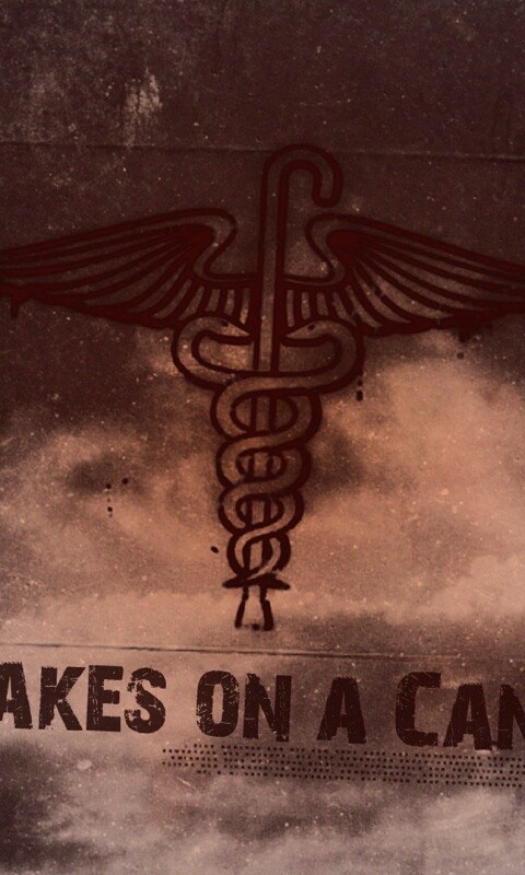 Змеи на трости обои