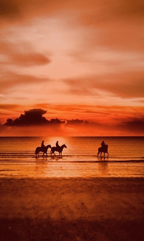 Наездники на закате обои