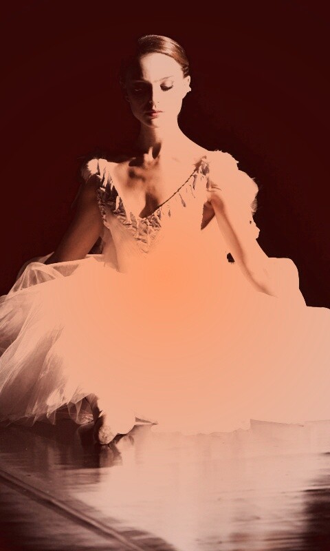 Черный лебедь обои