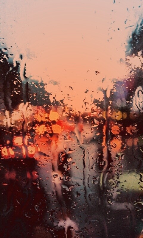 После дождя обои