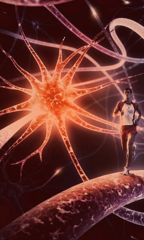 Бег мыслей обои