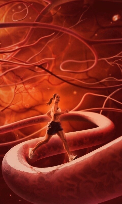 Бег крови обои