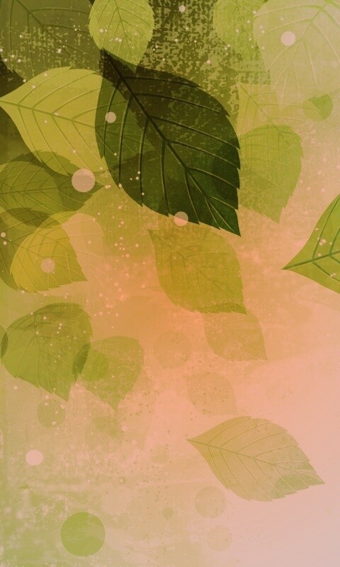 Прозрачные листья обои