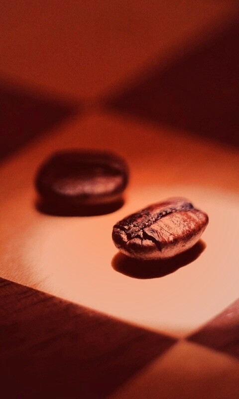 Кофейные зернышки обои