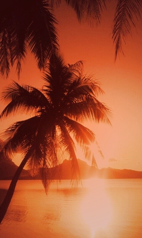 Закат в раю обои