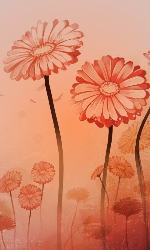 Векторные ромашки обои