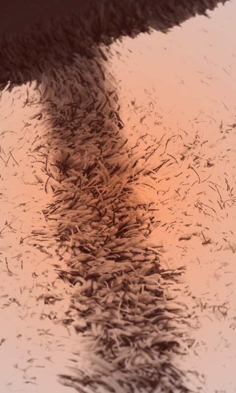 Книга на полу обои