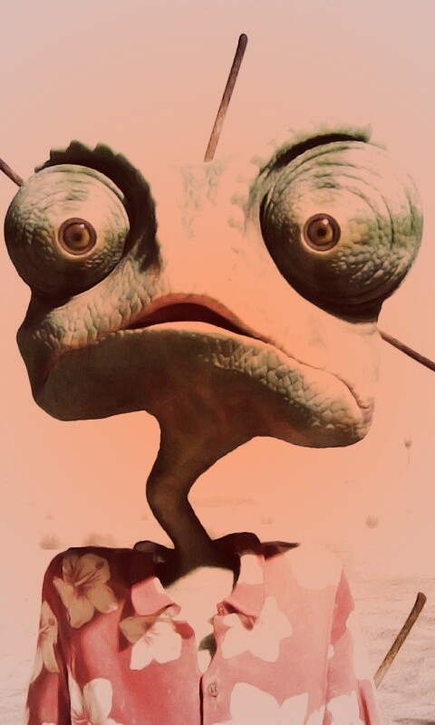 Ранго в колючках от кактуса обои