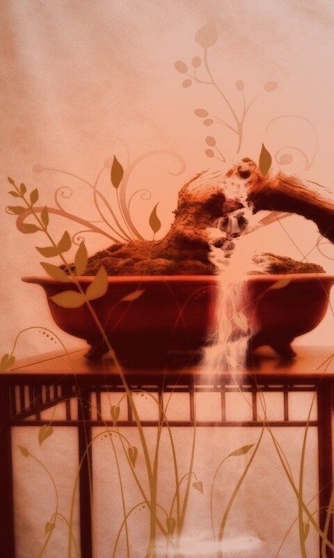 Карликовое дерево обои