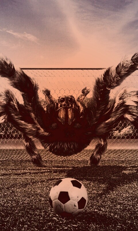 Вратарь обои