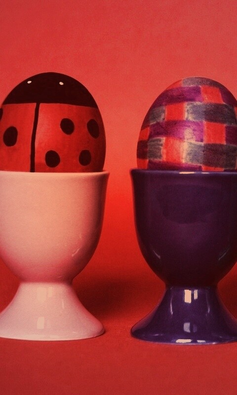 Кокушки обои