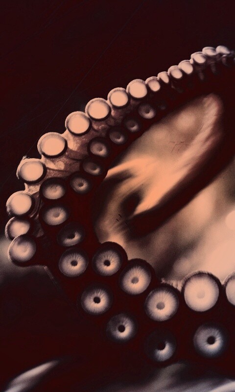 Щупальце обои